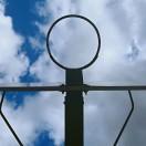 Kiwi酱79178的个人资料头像