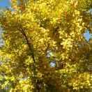 a重名了79188的个人资料头像