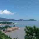 Pandas79200的个人资料头像