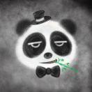 圈圈圈圈圈的个人资料头像