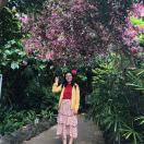 Ellie在掘金79243的个人资料头像