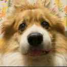 undefined的个人资料头像