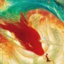 HZC79261的个人资料头像