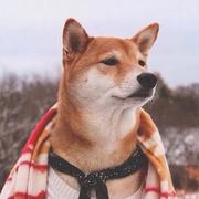 richard1225的个人资料头像