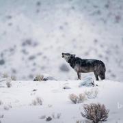 Ackerly爱学习的个人资料头像