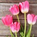 Rectangle的个人资料头像