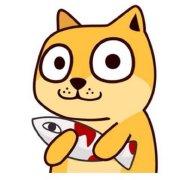 天寒地裂的个人资料头像