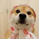 同学的个人资料头像