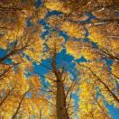 李林就是我79390的个人资料头像