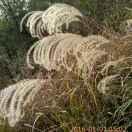 尘影的个人资料头像