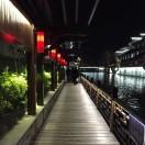 菠萝吹雪在掘金的个人资料头像