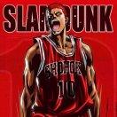 sunburst同志79539的个人资料头像