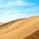 绯烬的个人资料头像