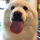 Lovemetender的个人资料头像