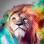 lanmuerjia的个人资料头像