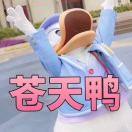 柯晓齐的个人资料头像