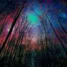 大彩虹的个人资料头像