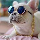 nana的个人资料头像