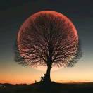 duang重名了的个人资料头像