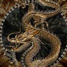 龙图腾的个人资料头像