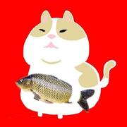 liupangzi的个人资料头像