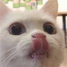 _小秋同学的个人资料头像