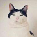 浩初的个人资料头像