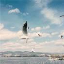 爱学习79773的个人资料头像