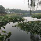 黄坤hk的个人资料头像