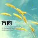 Striveperfect的个人资料头像