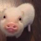 七七不想说话79829的个人资料头像