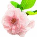 _的个人资料头像