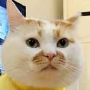 angelbob的个人资料头像