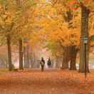 九天玄男本尊的个人资料头像