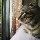 Sid的个人资料头像