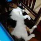 SeaRound的个人资料头像