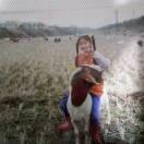 燕在掘金79920的个人资料头像