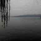 sun爱学习79939的个人资料头像