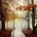 清风徐来同学的个人资料头像