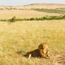 seventeen的个人资料头像