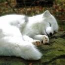 颖z的个人资料头像