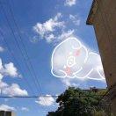 就是我80185的个人资料头像