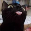 修同志80205的个人资料头像