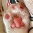 Super喵喵玄的个人资料头像