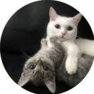 话就是我的个人资料头像