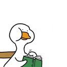 YanL的个人资料头像