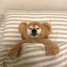 大喊大叫上课的个人资料头像