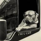 汉三又汉三的个人资料头像