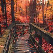 小小娜纳的个人资料头像