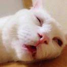 啥也不是i的个人资料头像